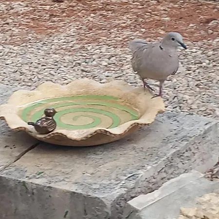 Zdenka רובנסקה