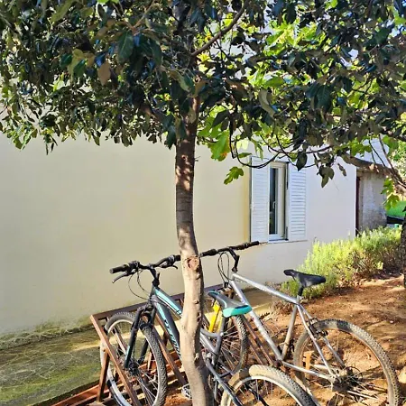 Zdenka Appartement *