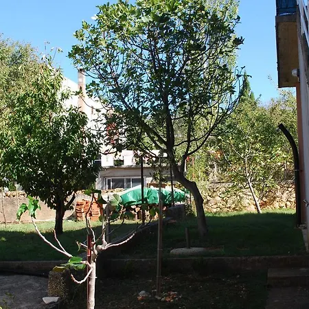 Zdenka דירה