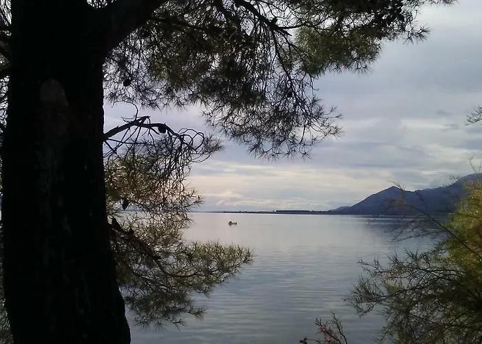 Zdenka Lägenhet *