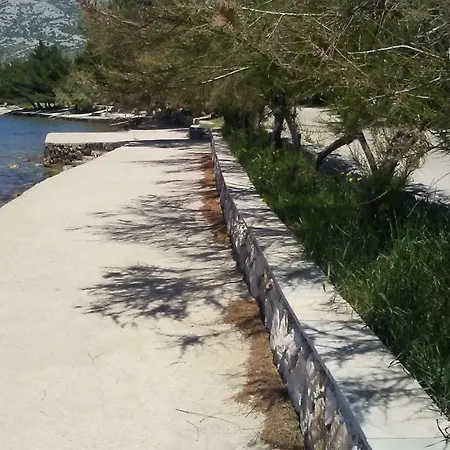 Zdenka * روفانجسكا