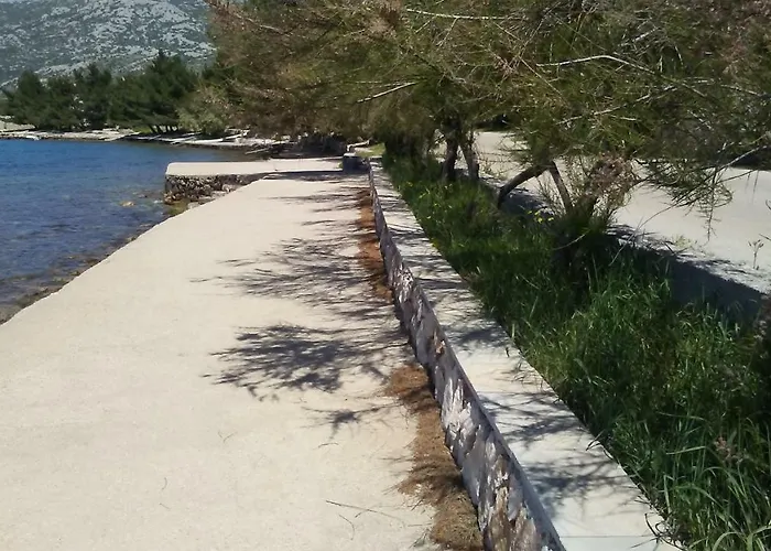 Zdenka * 로바니스카