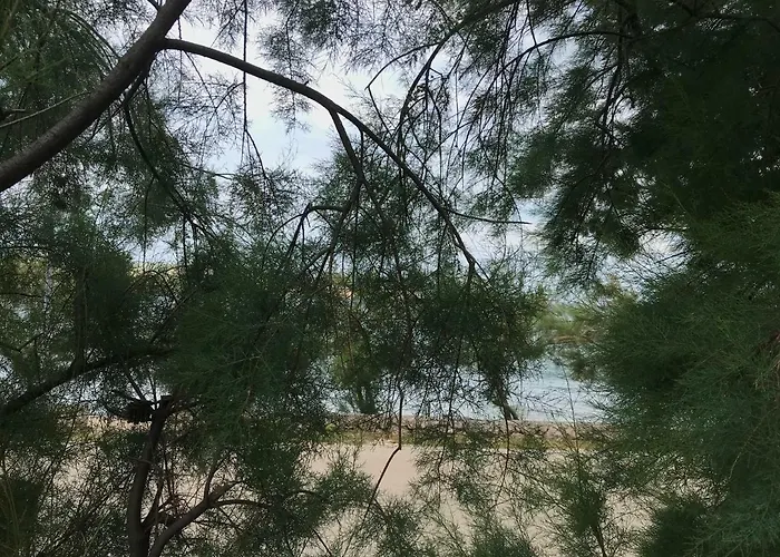 아파트 Zdenka 로바니스카